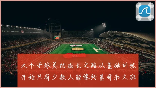 大个子球员的成长之路从基础训练开始只有少数人能像约基奇和文班那样成功